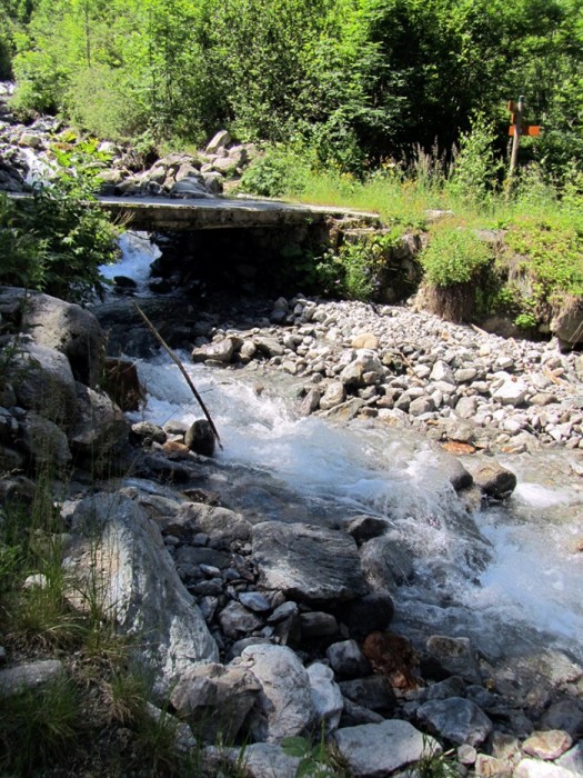 Passerelle au dessus d'un ruisseau lors de la monte au Lac du Lauvitel, Massif des Ecrins 