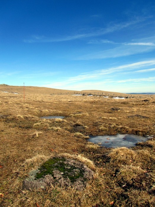 Randonne Aubrac entre les village de Laguiole et d'Aubrac
