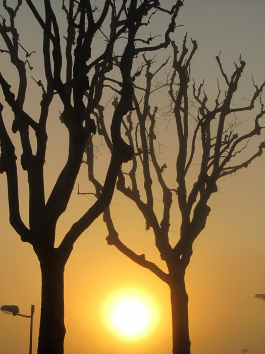 Lever de soleil sur Rodez, randonne balade du tour de Layoule