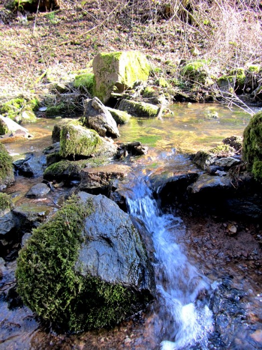 Balade au Domaine de Combelles, prs de Rodez
