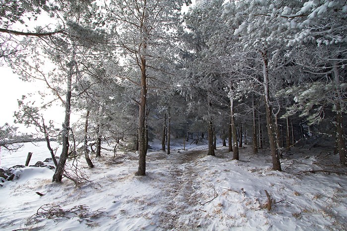 Randonne en Aubrac avec la neige