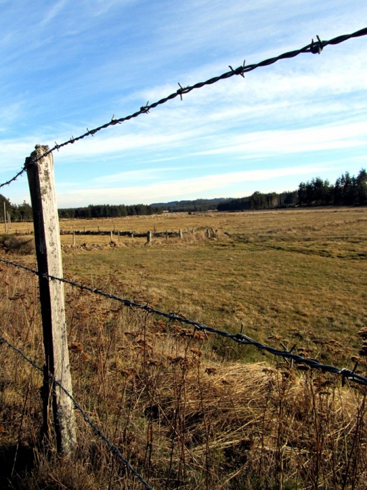 Randonne Aumont Aubrac en Lozre