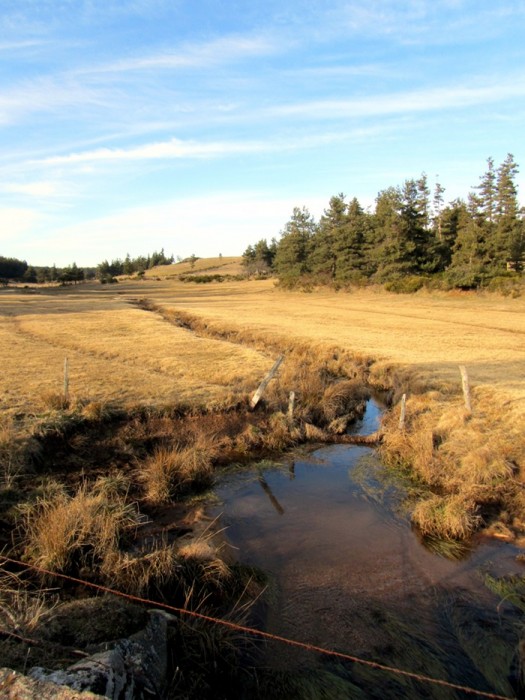 Randonne Aubrac en Lozre