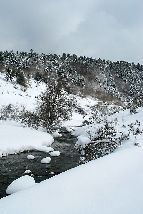 Ski de fond sur le plateau de Payolle