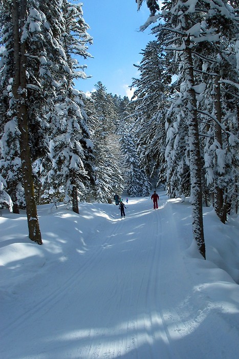 Domaine de ski de fond de Payolle dans les Hautes Pyrnes