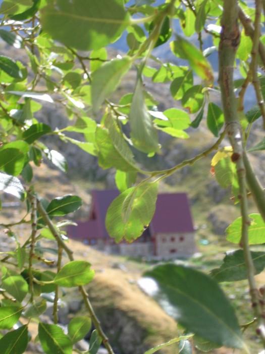 Refuge de Respumoso