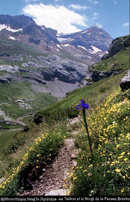 Le Taillon et le Doigt de la Fausse Brche