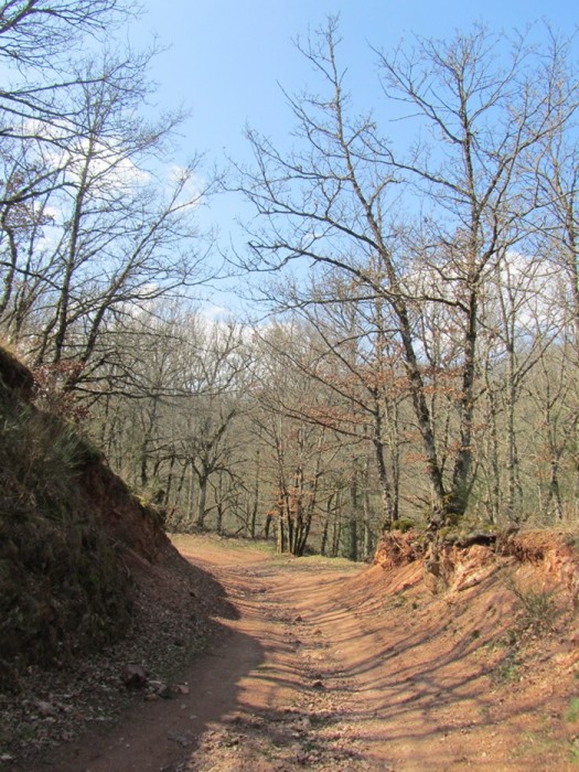 Randonne Aveyron  Ampiac