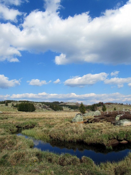 Randonne prs du Col de Bonnecombe sur l'Aubrac en Lozre