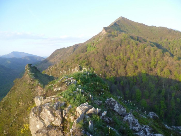 Irubelakaskoa