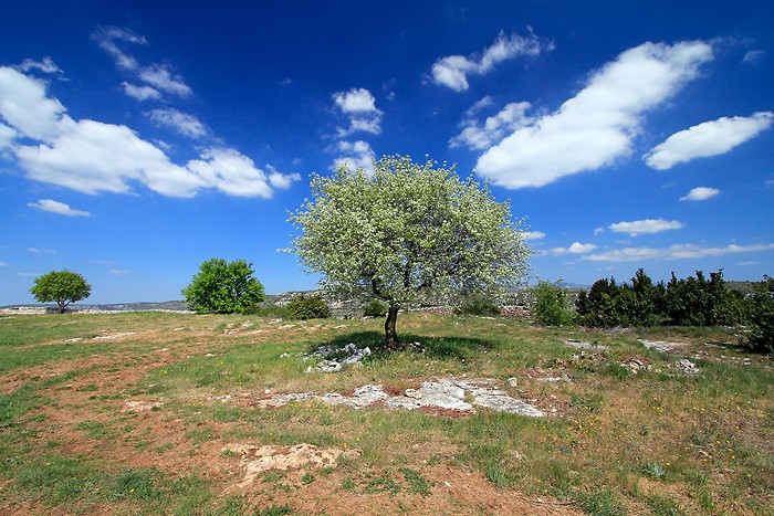 Le Baume Auriol au dessus du cirque de Navacelles