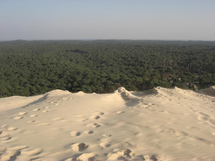 Dune du Pyla
