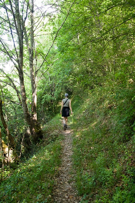 Dbut de la randonne dans la fort sur le tour de Sainte Croix du Mont