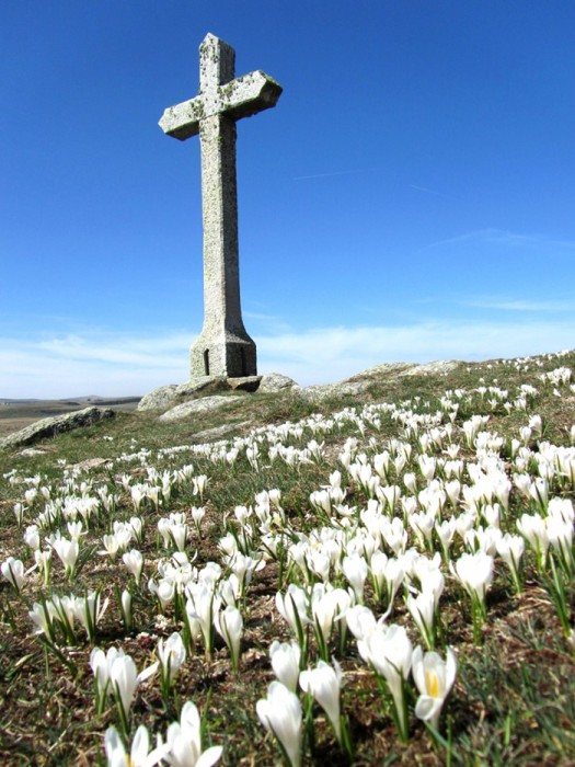 Rando Aubrac: Croix devant le Lac de Saint Andol, prs du Col de Bonnecombe, en Lozre