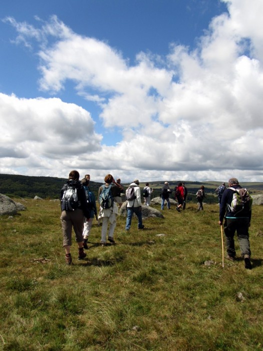 Randonne prs du Col de Bonnecombe sur l'Aubrac en Lozre