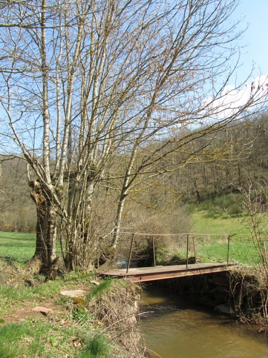 Passerelle lors de la randonne  Agnac Ampiac