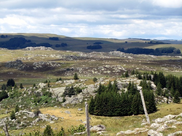 Randonne Aubrac en Lozre
