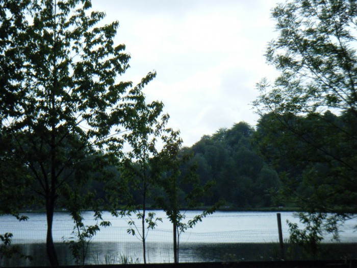 Lac de Bernissart