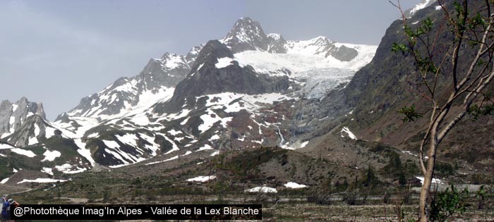 La Lex Blanche