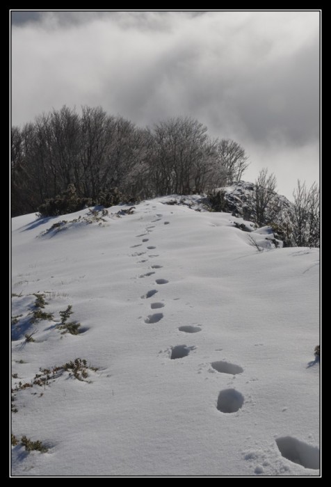 Le soum d'Andorre
