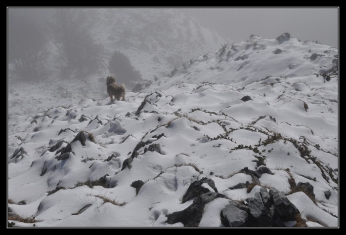 Le soum d'Andorre