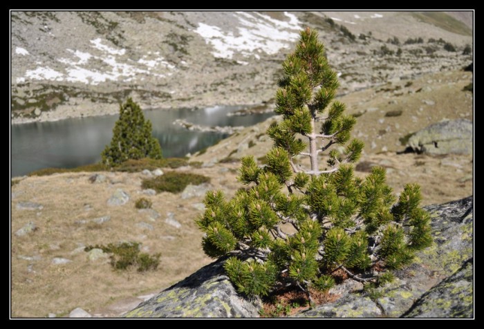 Lac Estagnol
