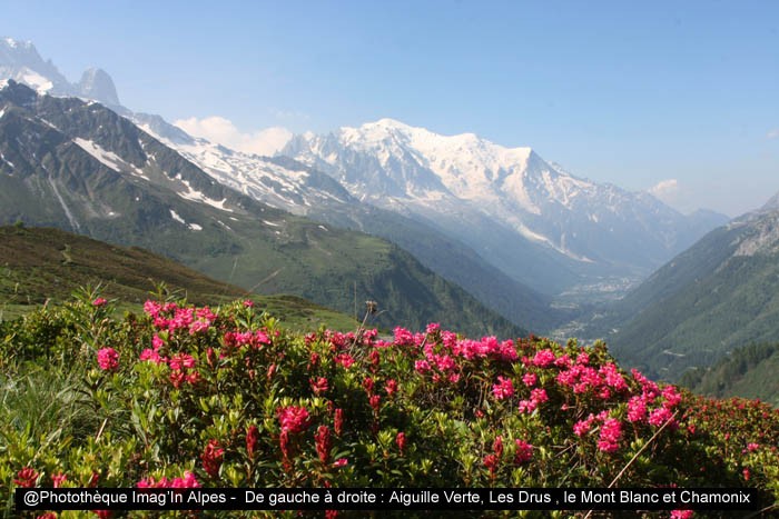 Mont Blanc depuis le col de Balme