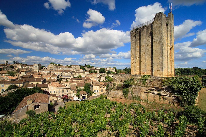Le donjon dit Chteau du Roy