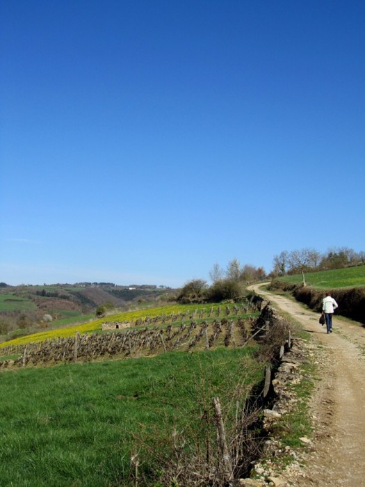 Randonne autour d'Estaing et de Saint Geniez des Ers, en Aveyron