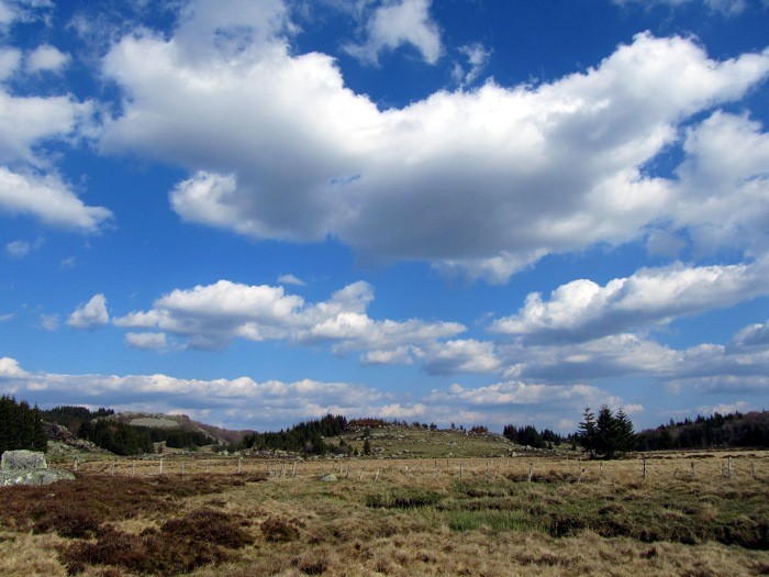 Randonne en Aubrac prs du Col de Bonnecombe en Lozre