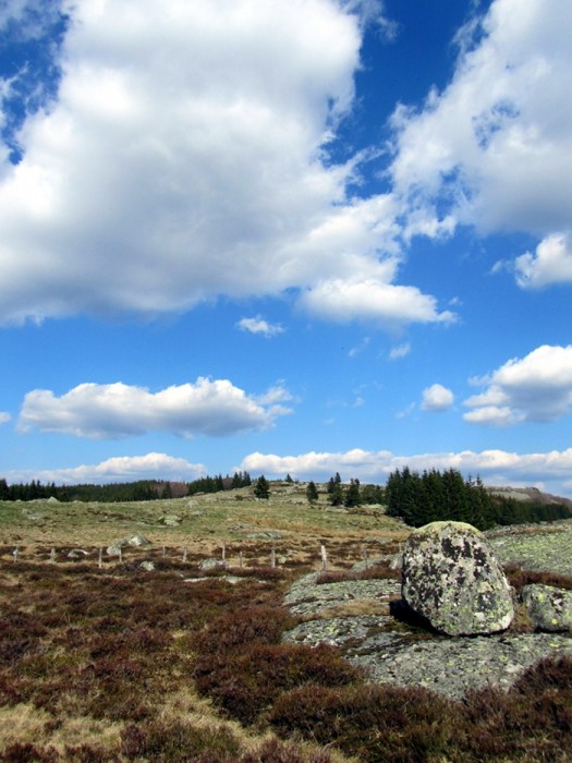 Randonne en Lozre sur l'Aubrac