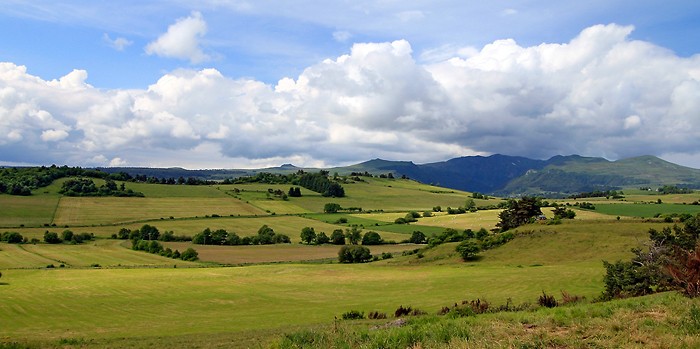 Paysage d'Auvergne