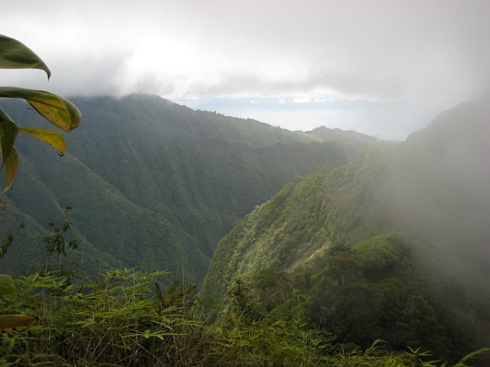 Randonne au Mont Aorai  Tahiti