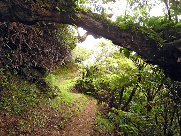 Randonne au Mont Aorai  Tahiti