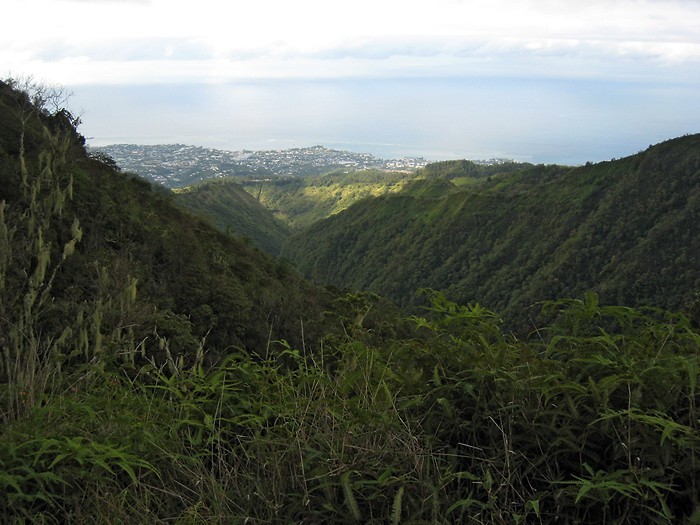 Randonne au Mont Aorai  Tahiti