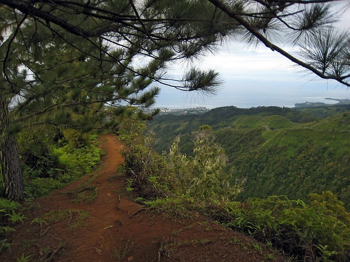 Randonne au Mont Aorai  Tahiti