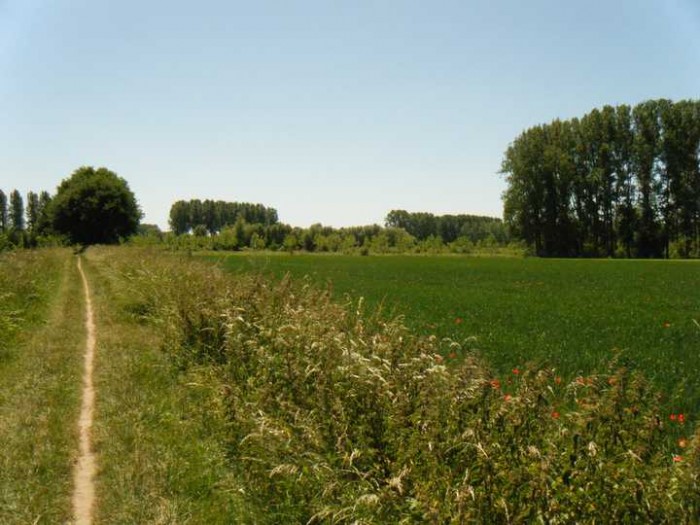 vue du circuit des marais de Laplaigne