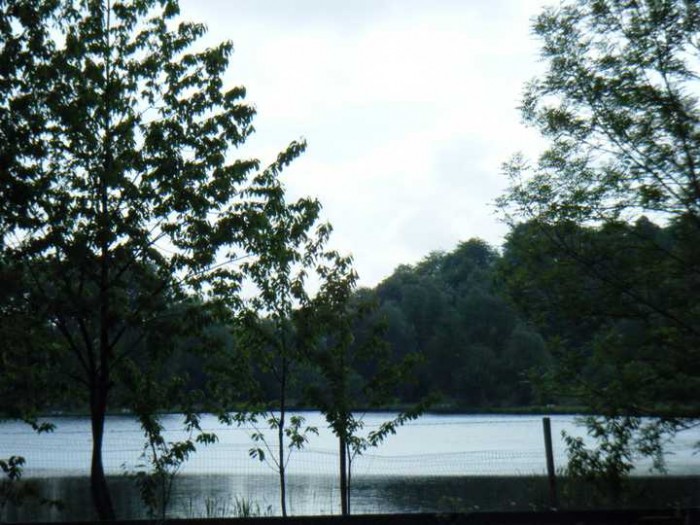 Lac de Bernissart