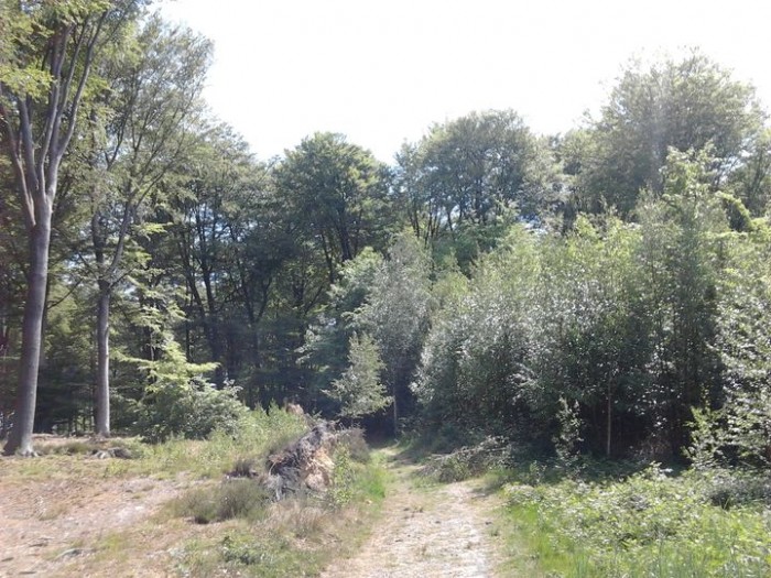 Autre vue du circuit du Marchal de Cro