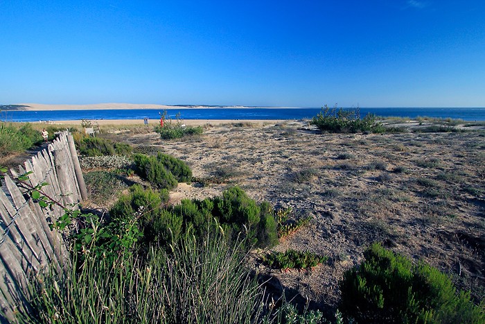 Randonne  la Pointe du Cap Ferret