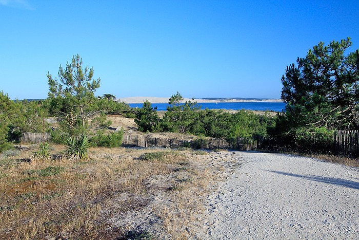 Randonne  la Pointe du Cap Ferret