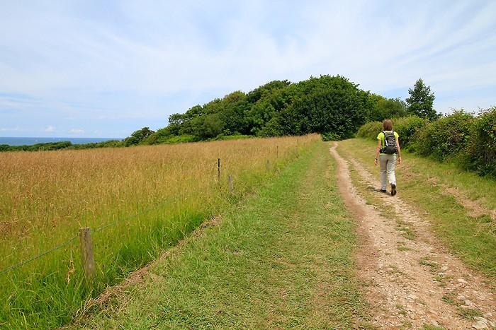 Randonne dans le domaine d'Abbadia - Pays Basque