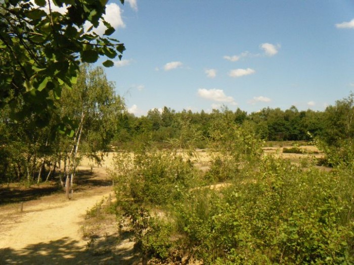 La Grande Bruyère de Blaton La Grande Bruyère de Blaton