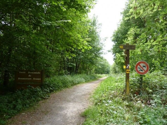 Vue du circuit questre de Bon-Secours
