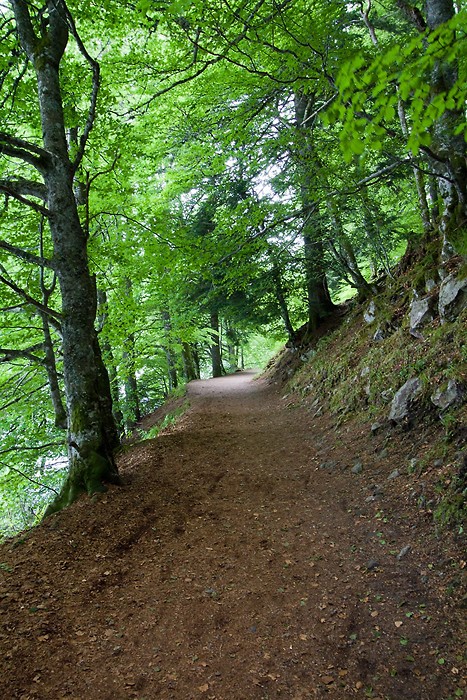Dbut de la randonne autour du lac Pavin en Auvergne