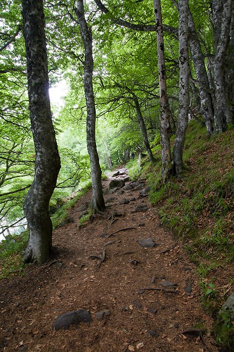 Le sentier qui fait le tour du lac Pavin dans le Massif Central