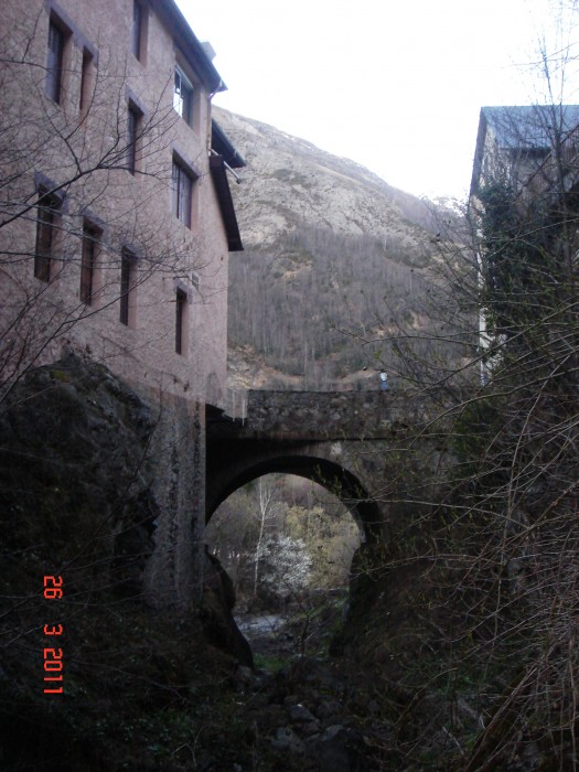 gedre 65