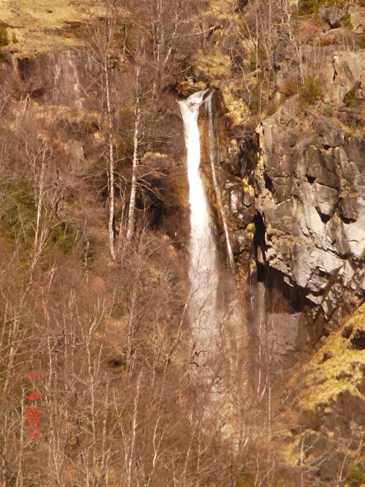 gedre 65 gavarnie