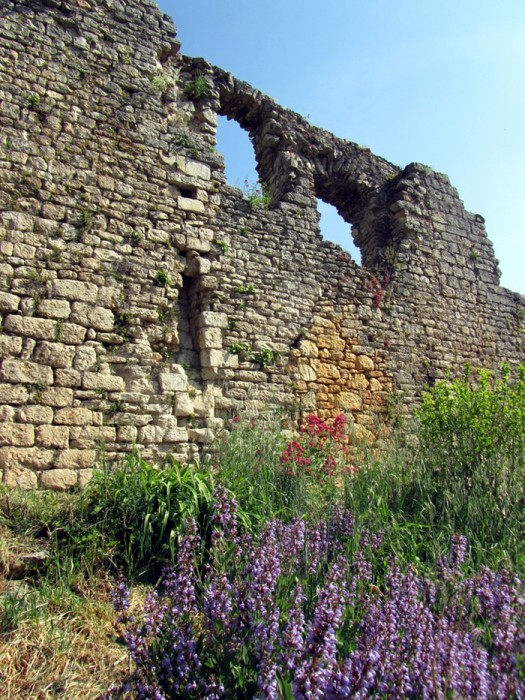 Sur les hauteur de Saint Cirq Lapopie