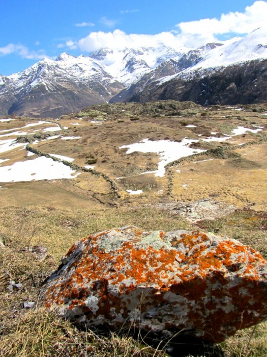 Sur le plateau de Saugu dans les Pyrnes